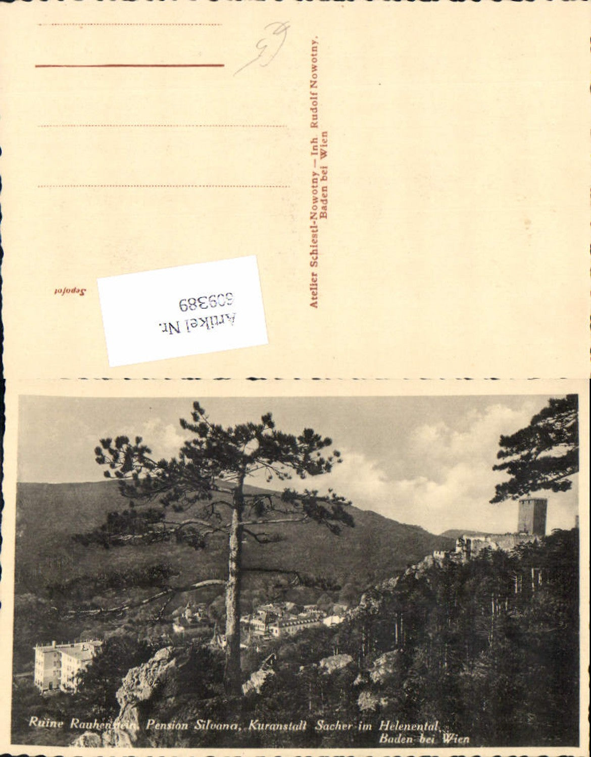 609389,Ruine Rauhenstein bei Baden Wien Pension Sacher