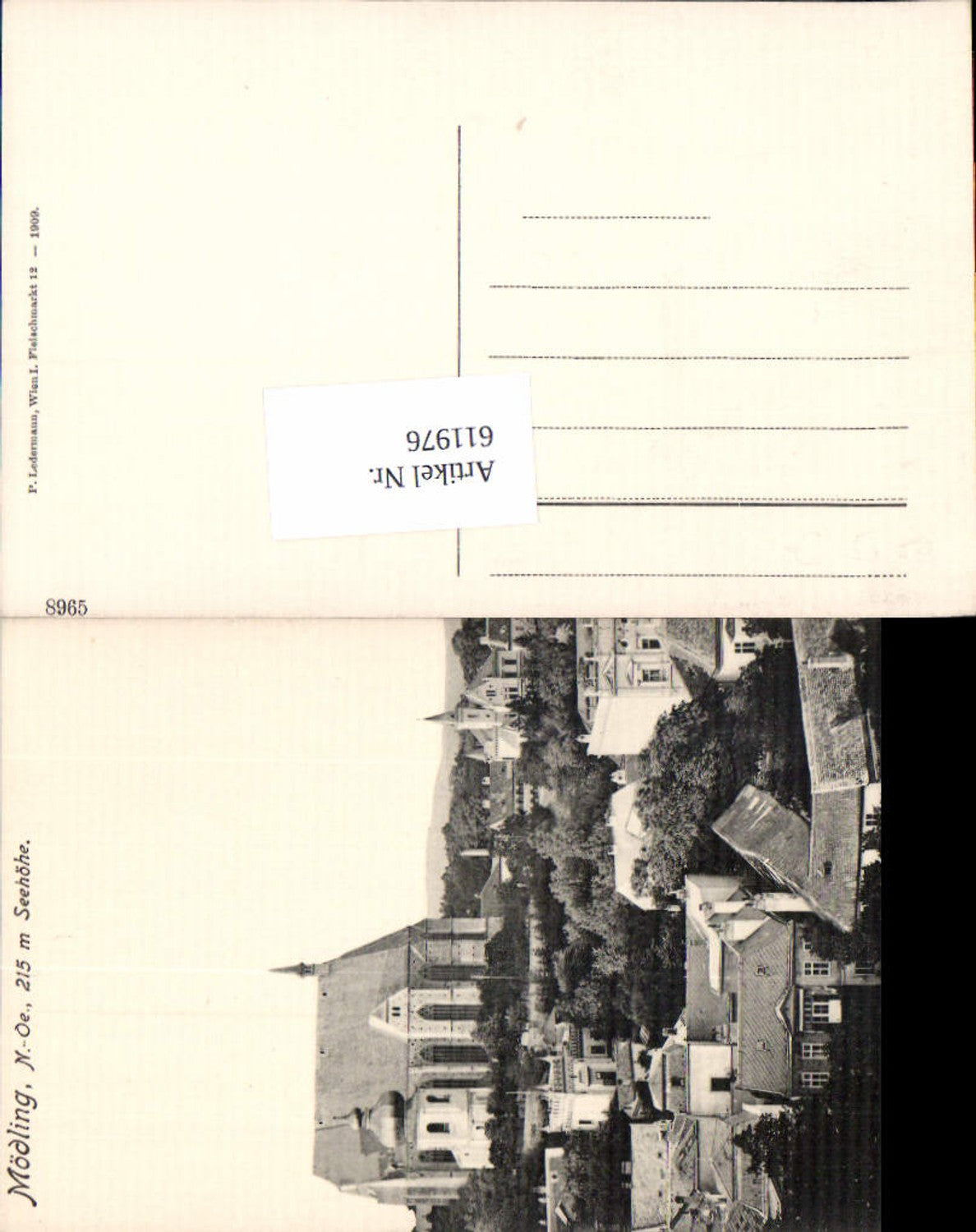 611976,tolle AK Mödling bei Wien pub Ledermann 8965