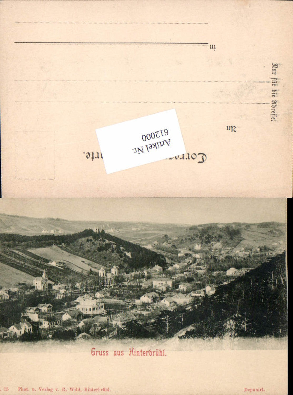 612000,tolle AK Gruß aus Hinterbrühl bei Mödling pub R. Wild 15