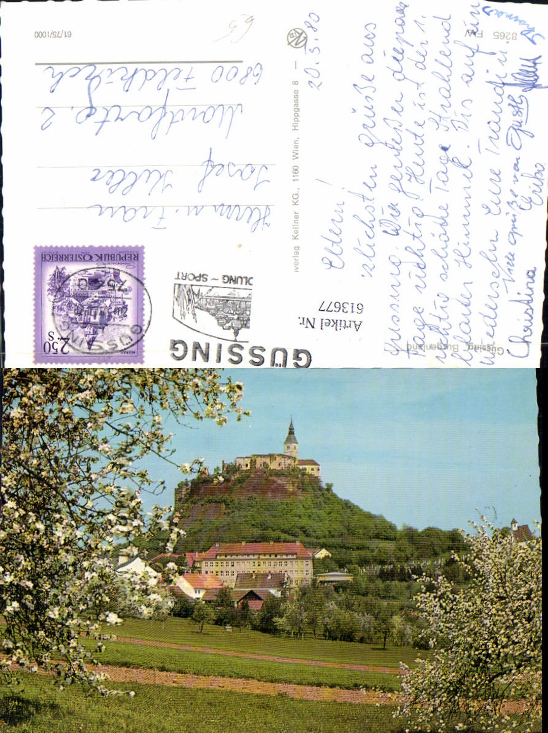 613677,Güssing Burgenland Ansicht m. Burg