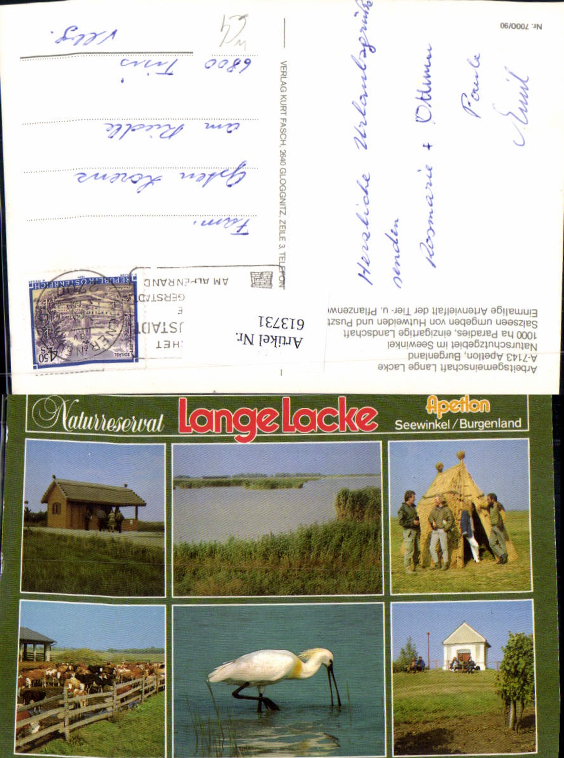 613731,Mehrbild Ak Apetlon Lange Lacke Seewinkel Kühe Rinder Naturreservat