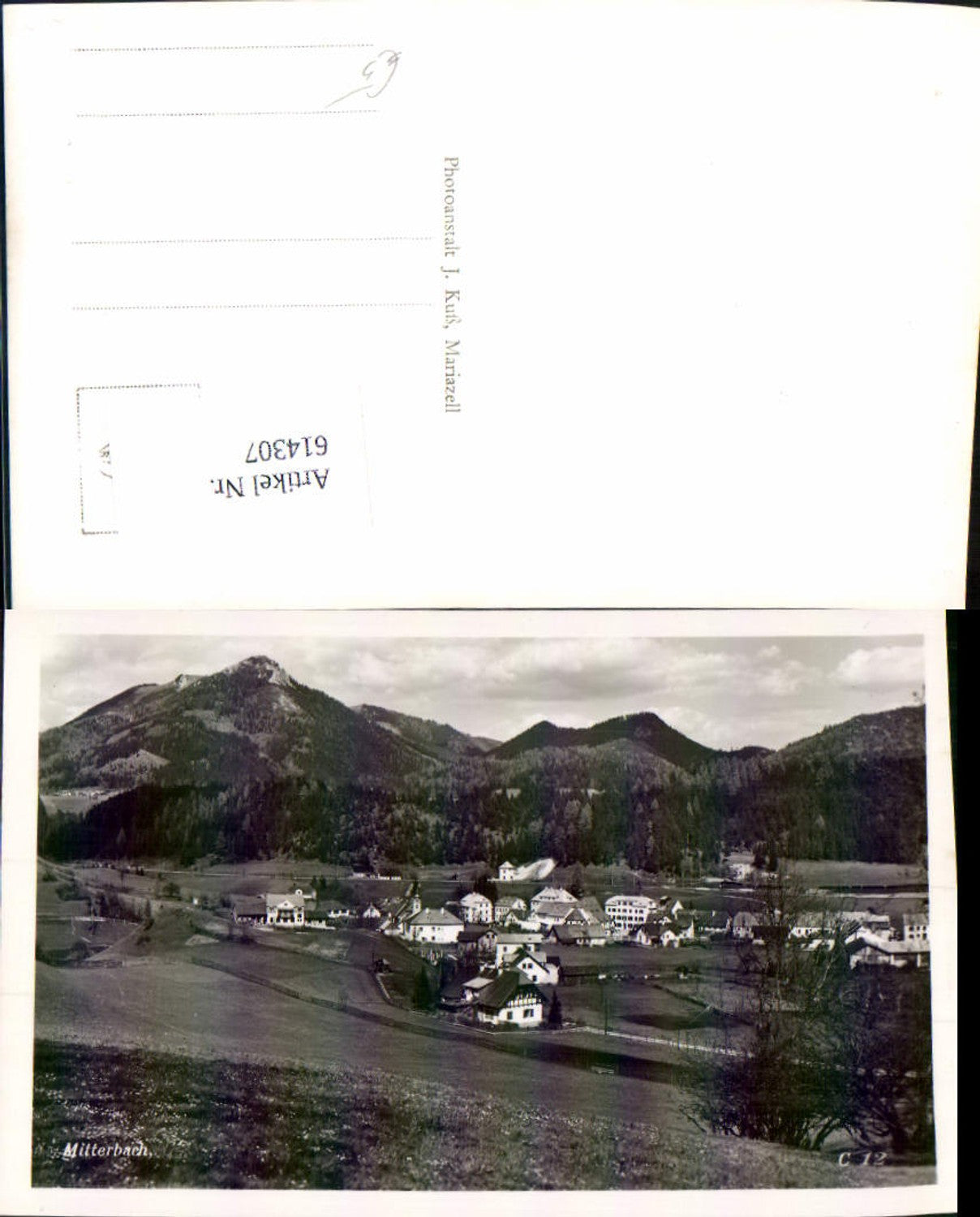 614307,Mitterbach am Ötscher