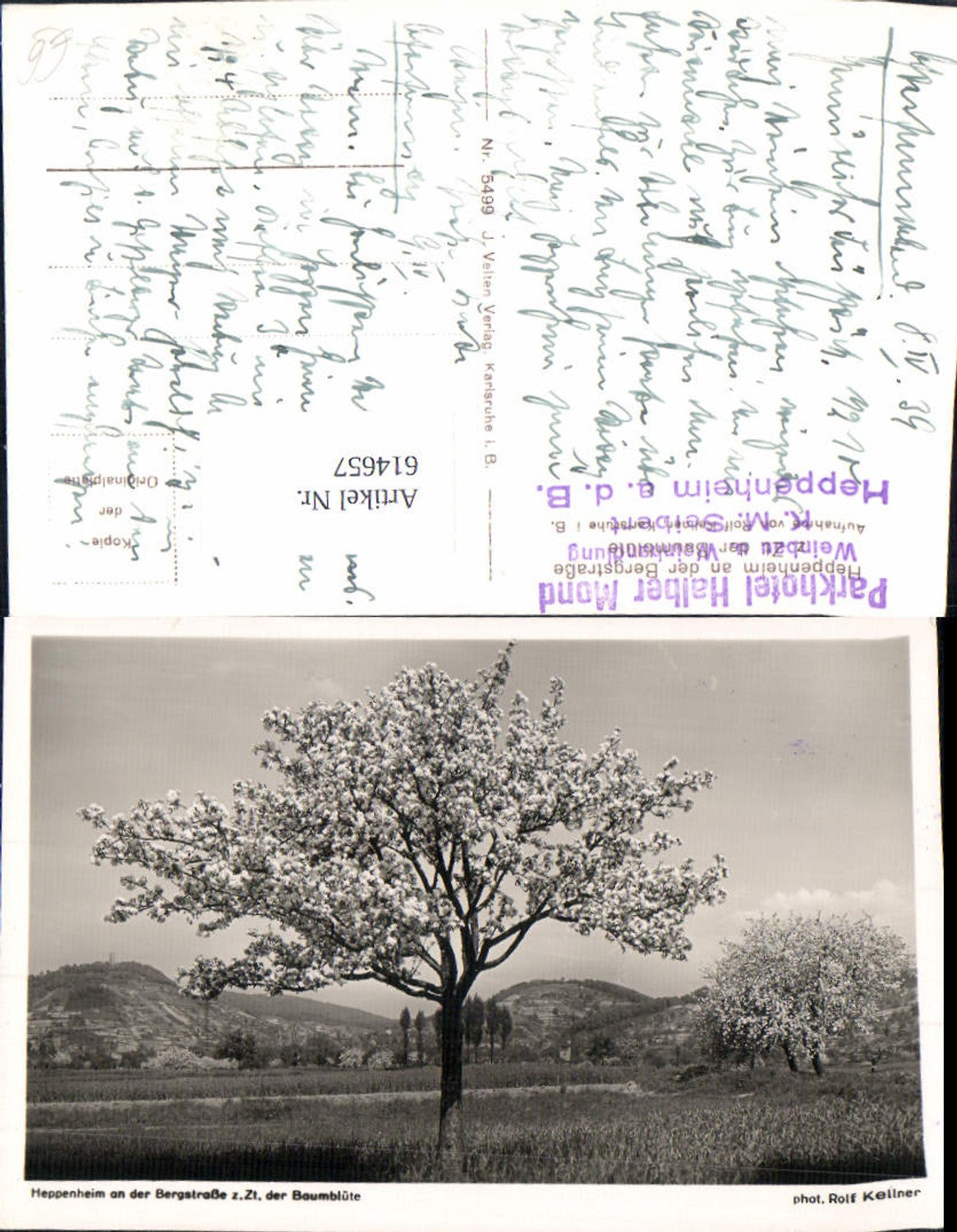 614657,Foto Ak Heppenheim a. d. Bergstraße Baumblüte