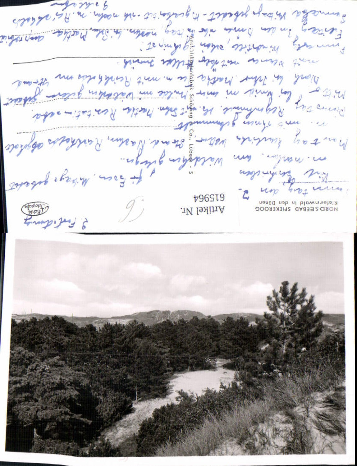 615964,Foto Ak Nordseebad Spierkeroog Kiefernwald i. d. Dünen