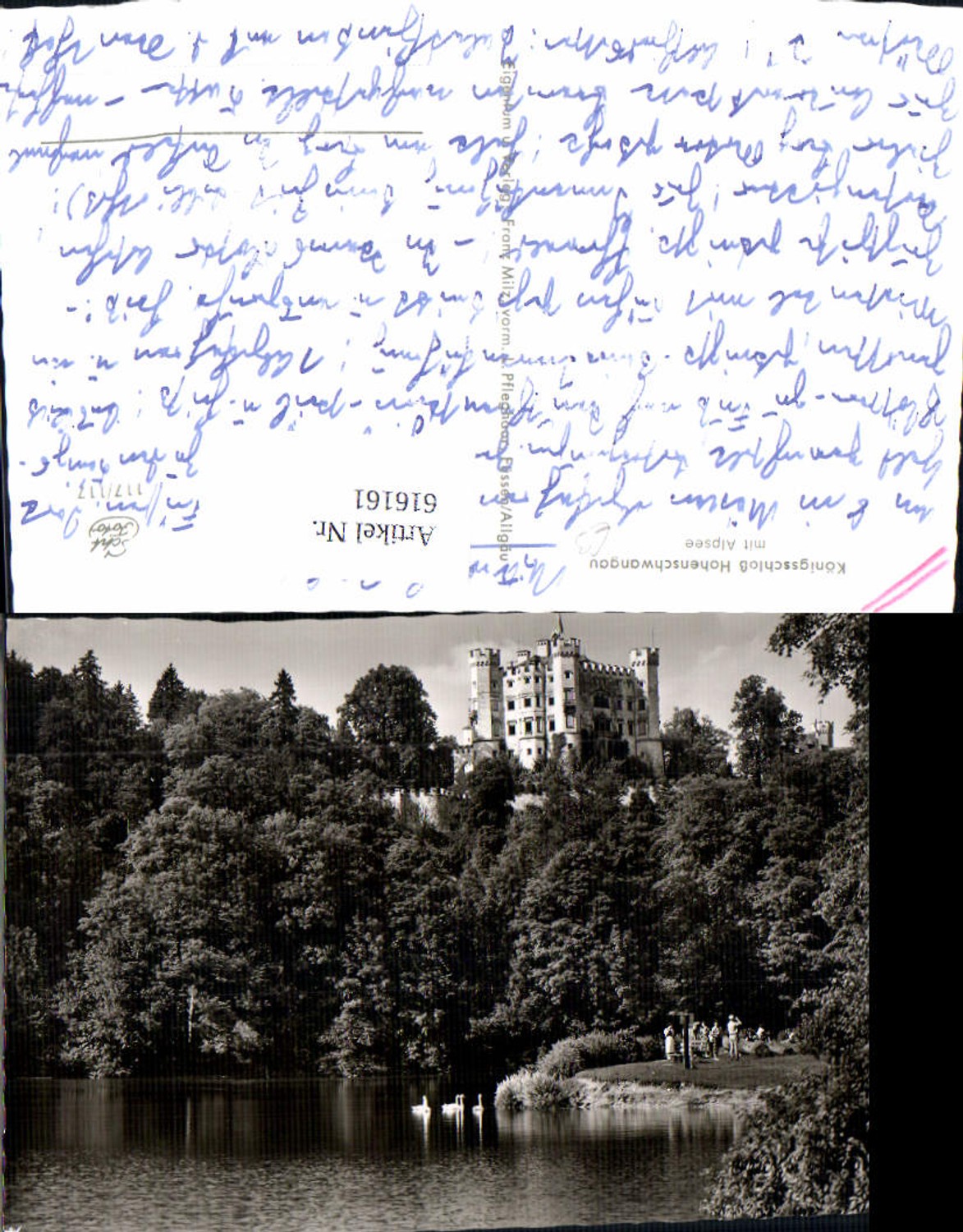 616161,Foto Ak Schwangau Schloss Hohenschwangau m. Alpsee Schwan