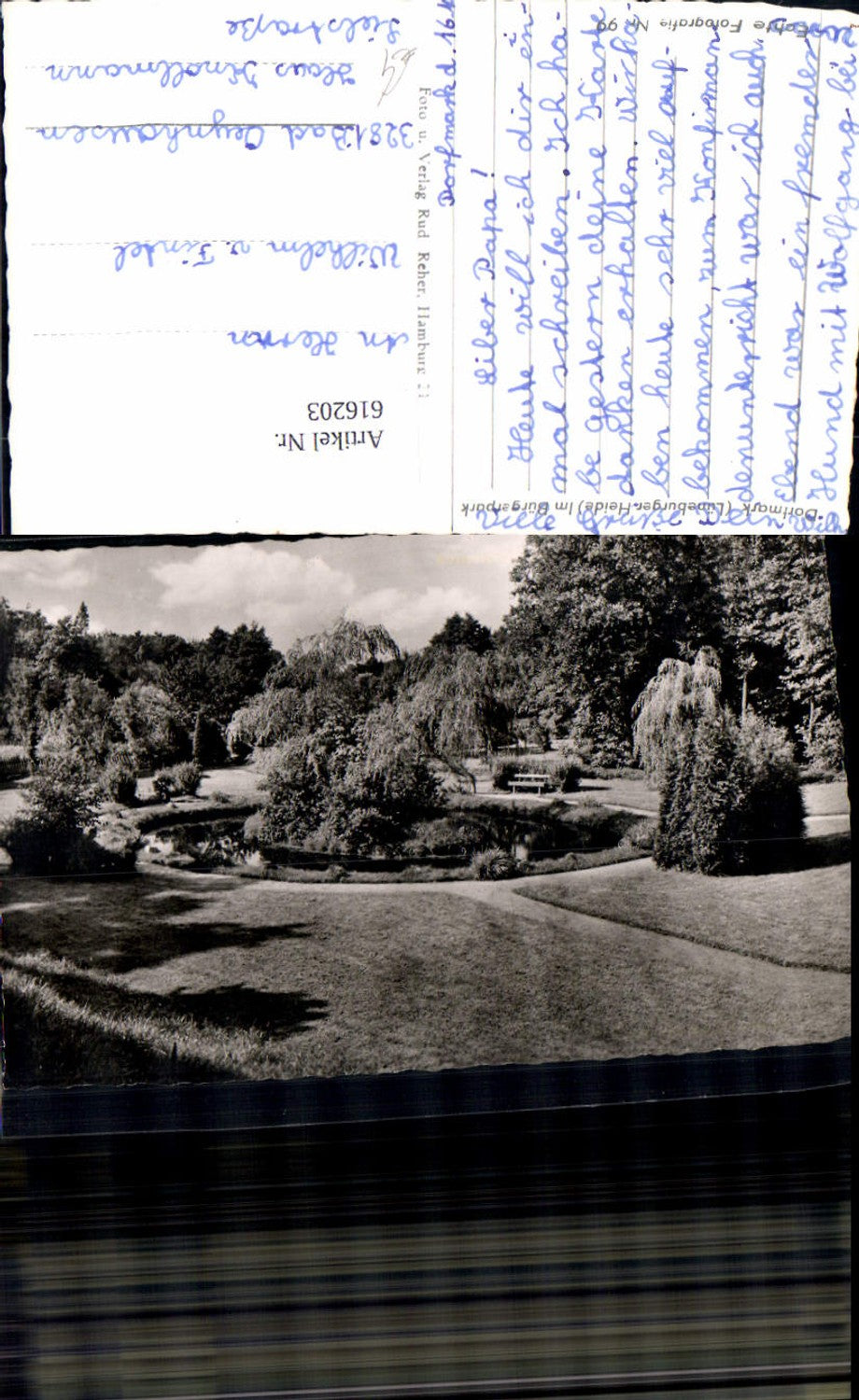 616203,Foto Ak Dorfmark Bad Fallingbostel Lüneburger Heide Bürgerpark