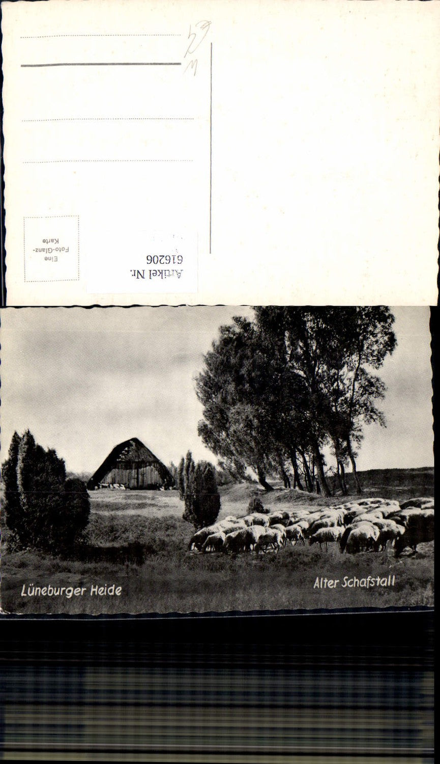 616206,Foto Ak Lüneburger Heide Alter Schafstall Schafe Schafeherde b. Lüneburg