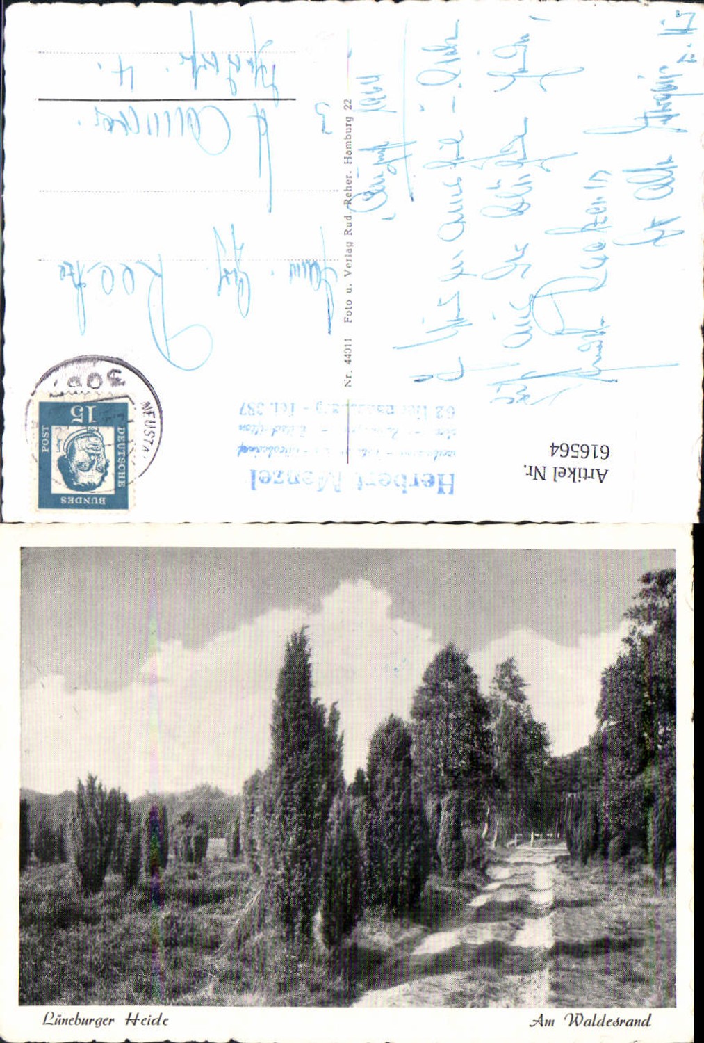 616564,Lüneburger Heide b. Schwarmstedt Am Waldesrand