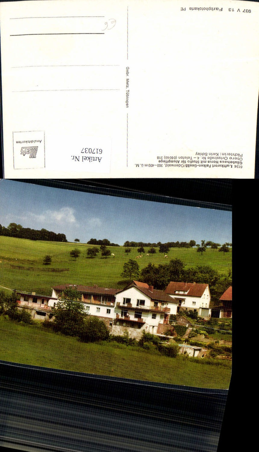 617037,Oberzent Falken-Gesäß Odenwald Gästehaus Horus m. Studio für Atempflege