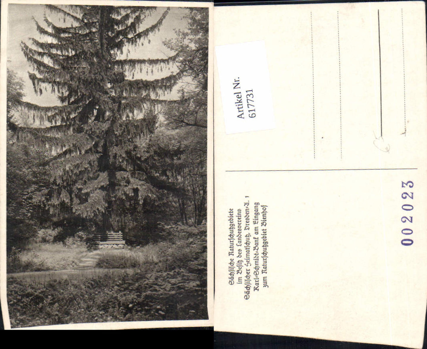 617731,Karl-Schmidt-Bank Eingang Naturschutzgebiet Bienhof Bad Gottleuba-Berggießhübel