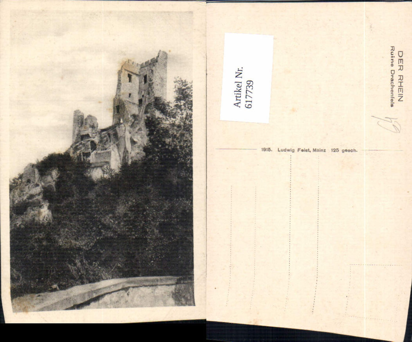 617739,Der Rhein Ruine Drachenfels Königswinter