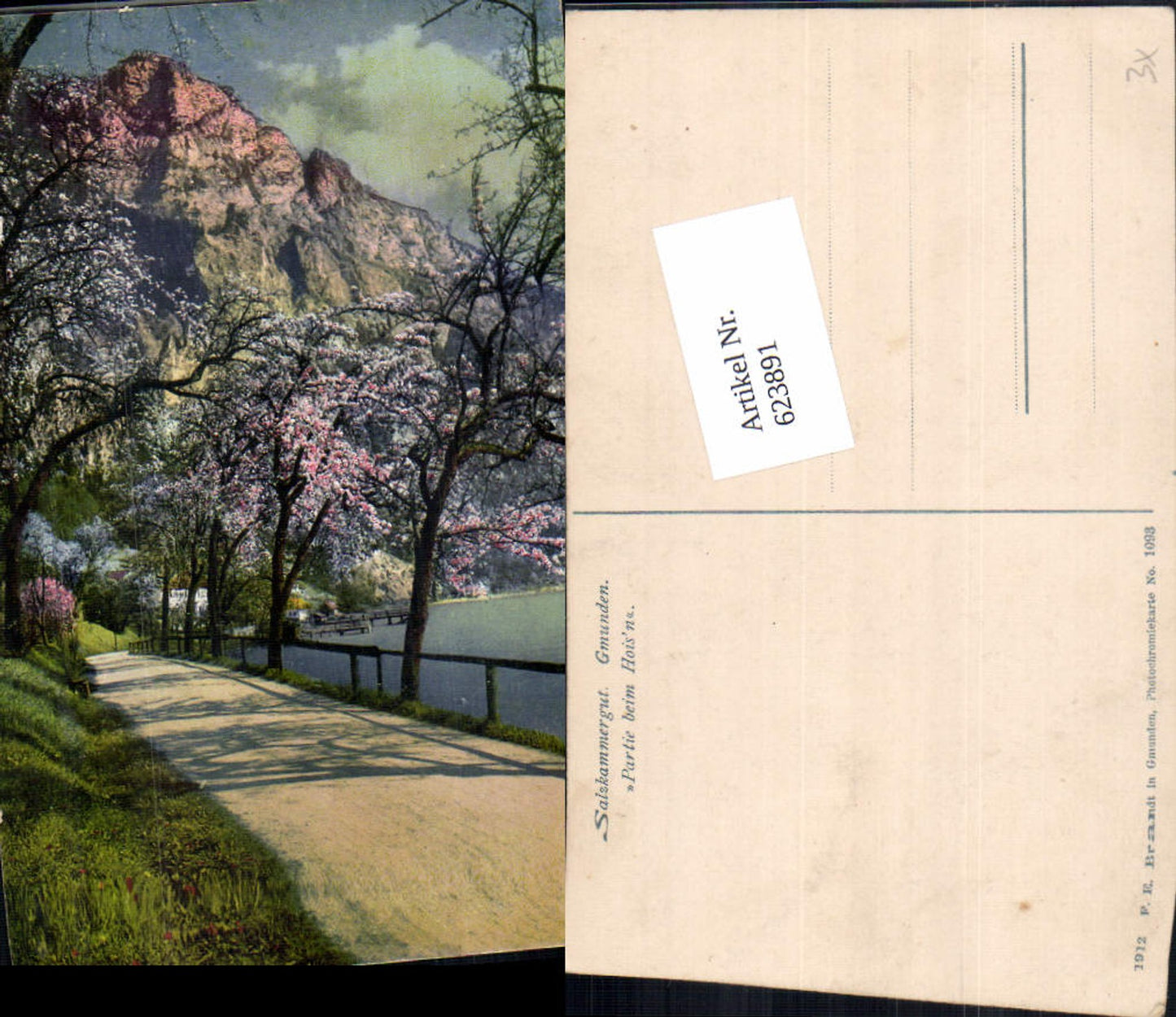 623891,Gmunden am Traunsee Gasthof Hoisn Partie pub Brandt 1093