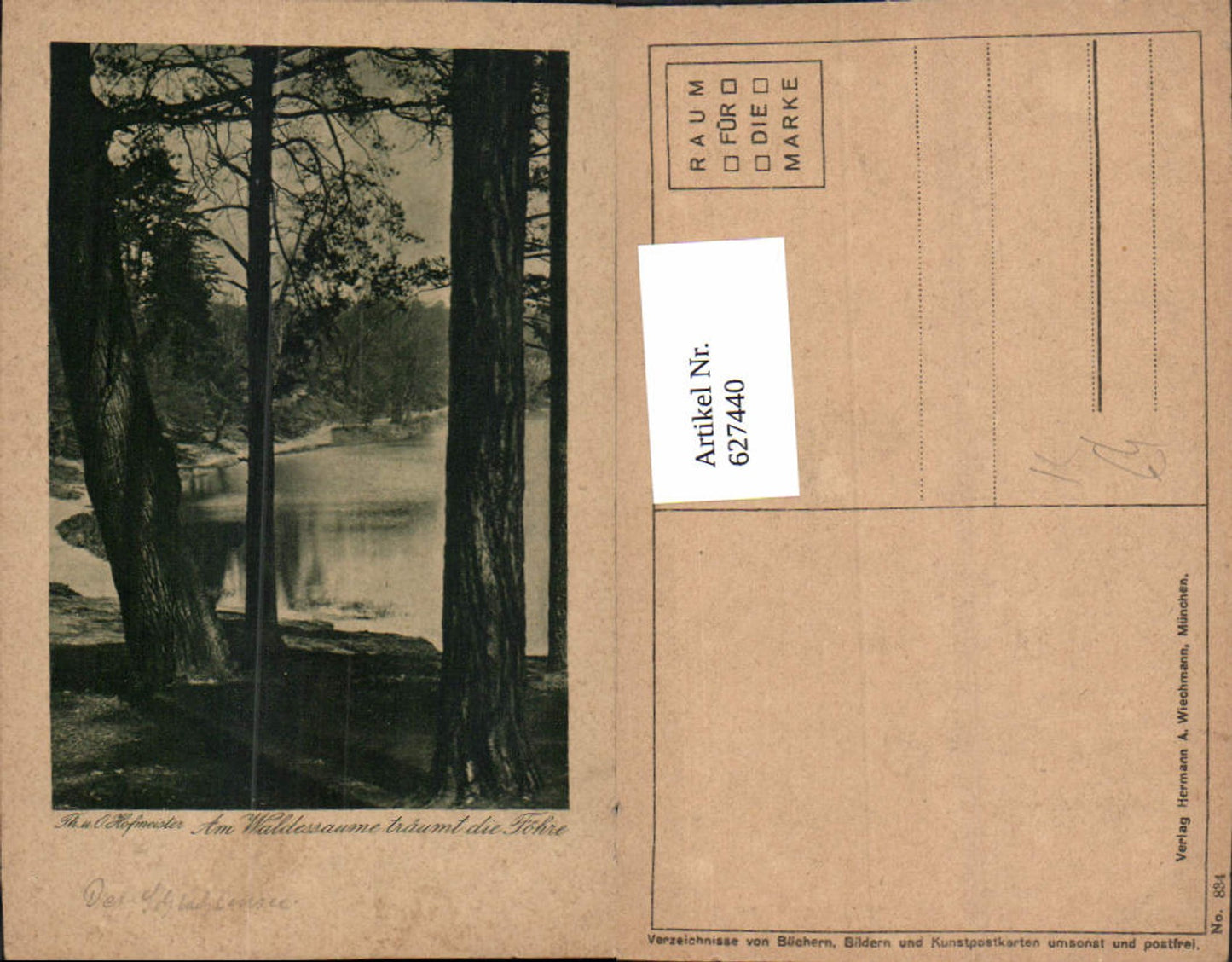 627440,Künstler Ak Th. u. O. Hofmeister Am Waldessaume träumt d. Föhre Baum Landschaft