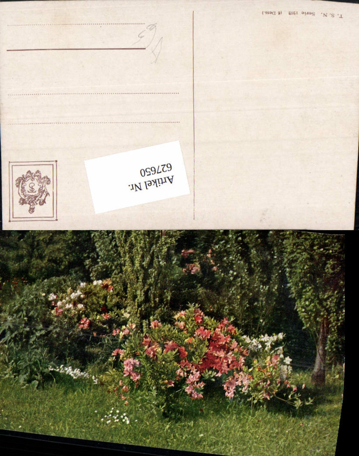 627650,Künstler Ak Azaleen Blumen Park pub Theo Stroefer 1262