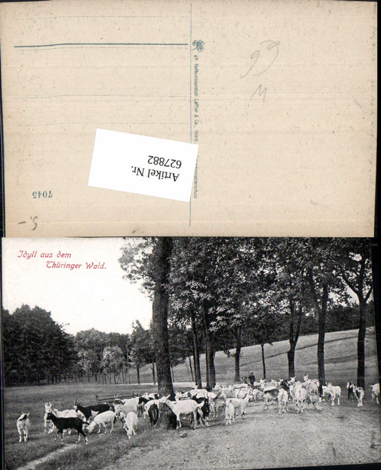 627882, Idyll in the Thuringian Forest, goats, shepherd, avenue, trees, Eisenach, Ilmenau