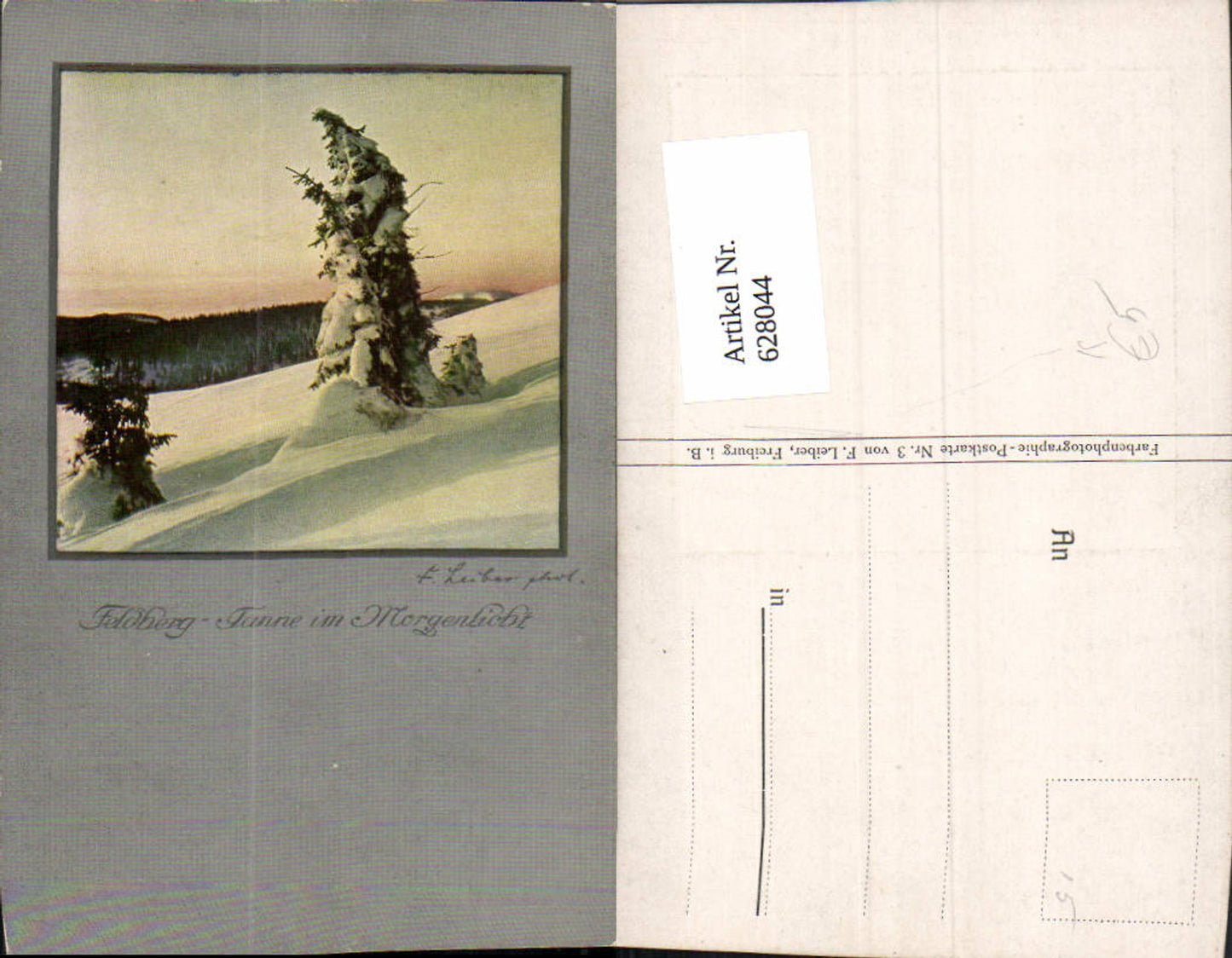 628044,Künstler Ak F. Leiber Feldberg Feldbergtanne i. Morgenlicht Winterlandschaft