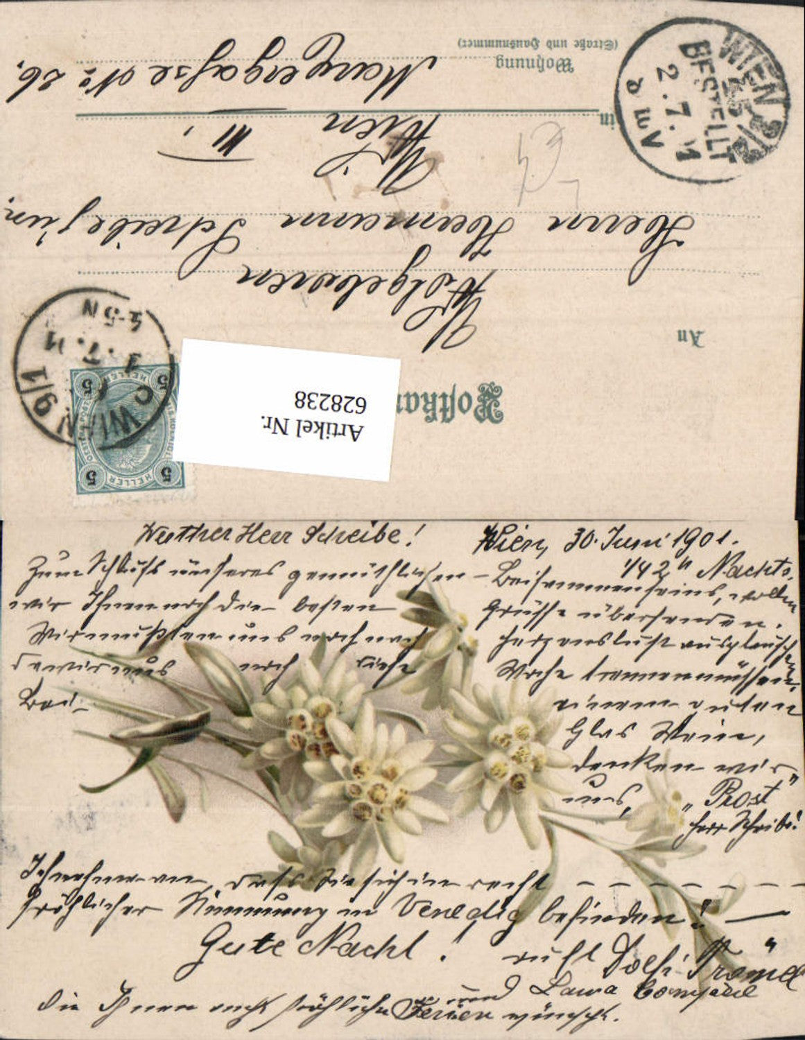 628238,Künstler Litho Blumen Edelweiß