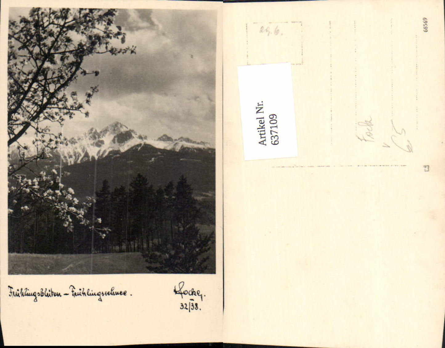 637109,Fotokunst Fock 32/38 Frühlingsblüten Frühlingsschnee Berge