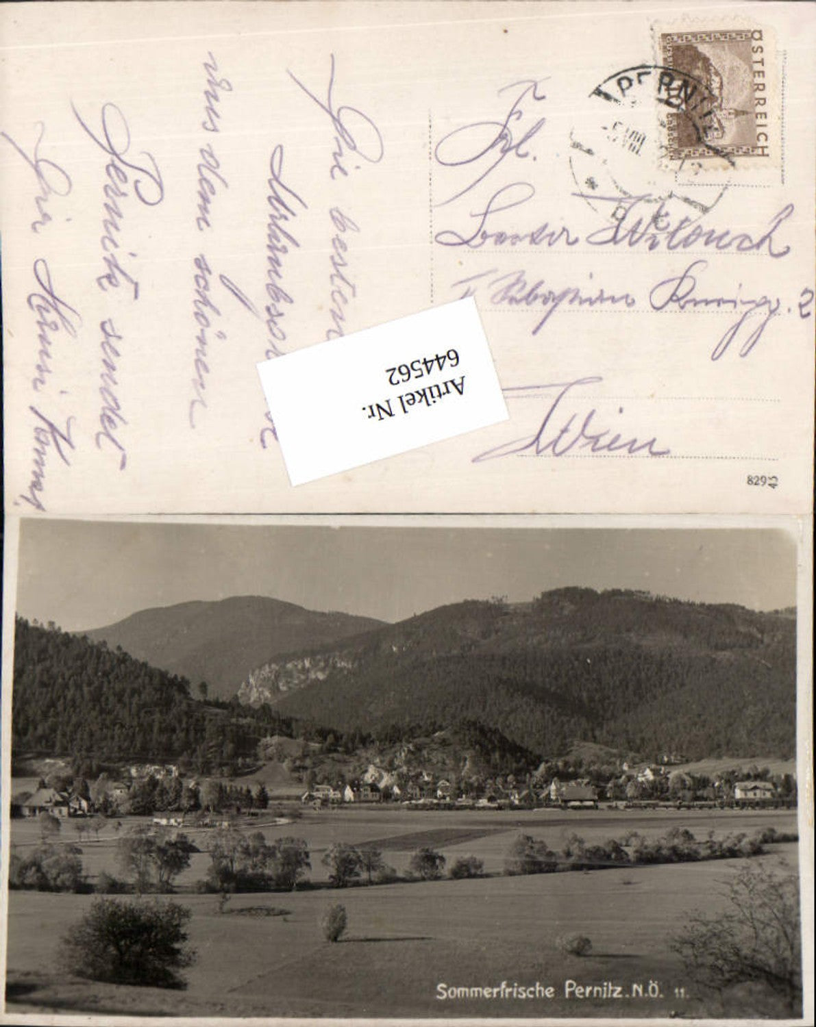 644562,Pernitz Totale