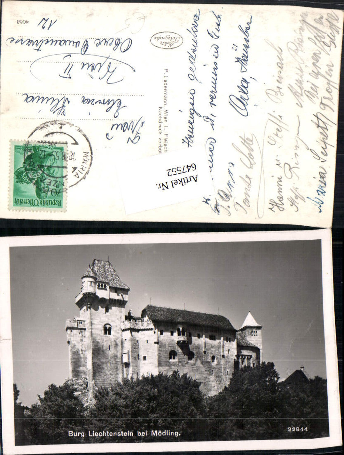 647552,Burg Liechtenstein bei Mödling