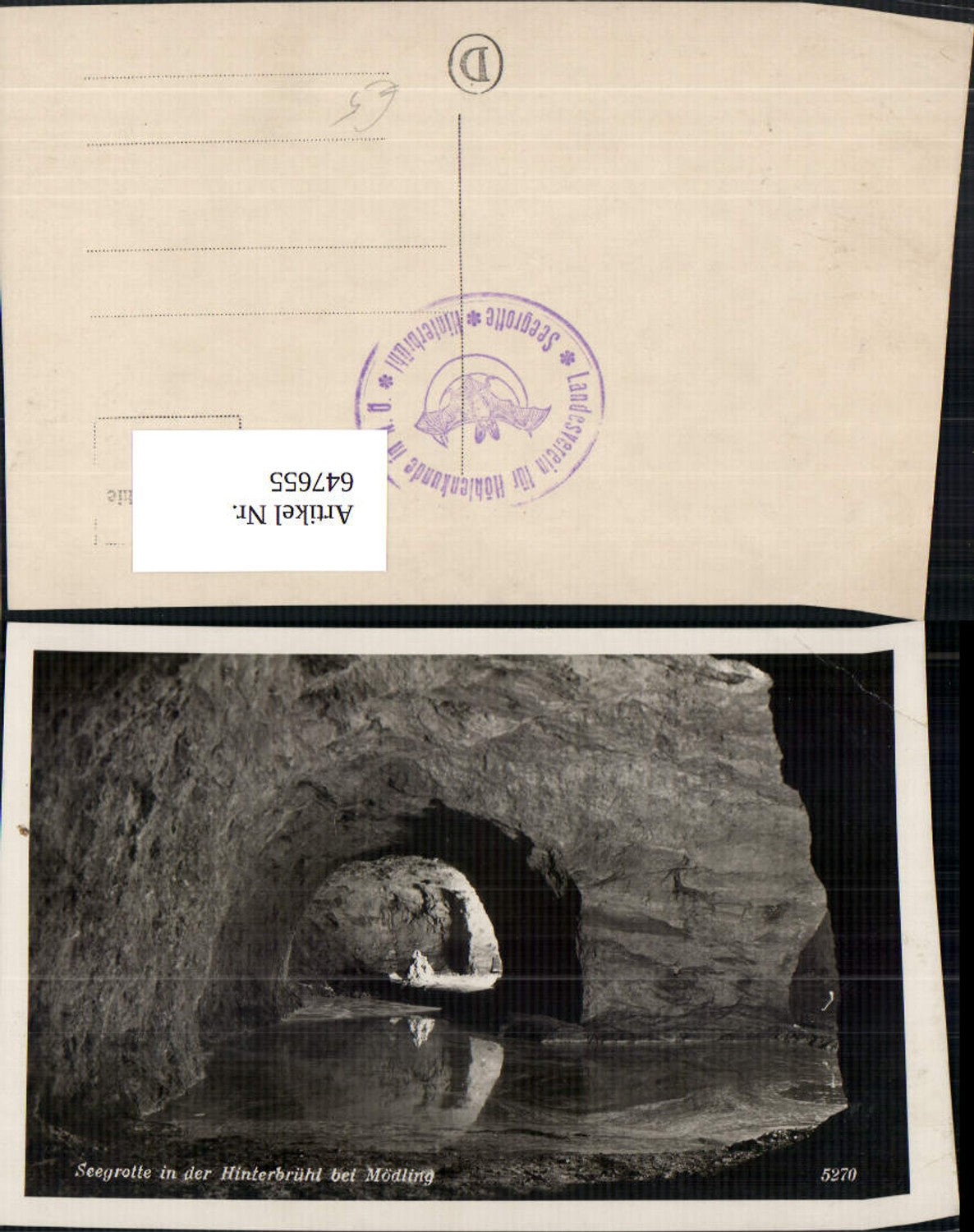 647655,Foto Ak Seegrotte Hinterbrühl b. Mödling