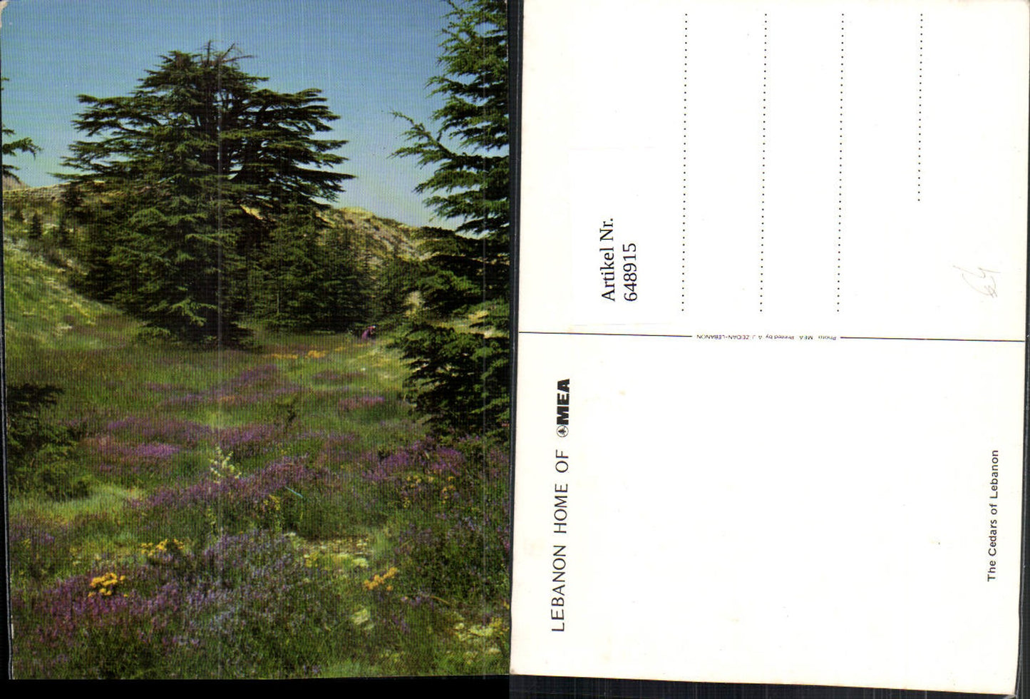 648915,The Cedars of Lebanon Libanon Baum Zeder
