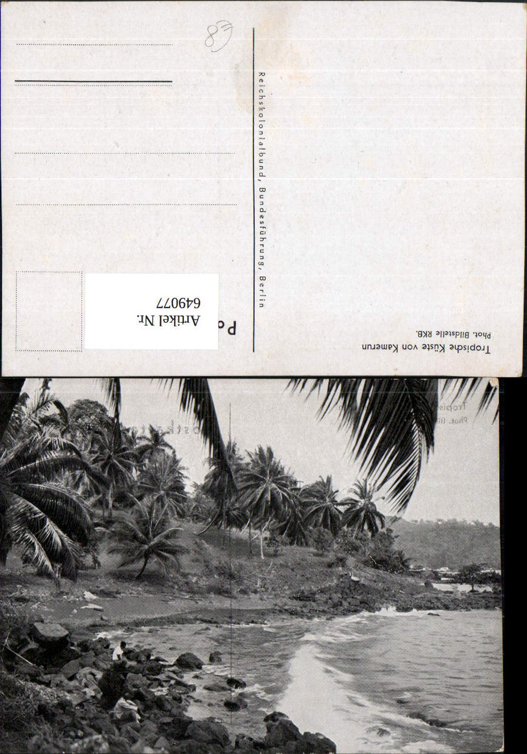 649077,Tropische Küste v. Kamerun