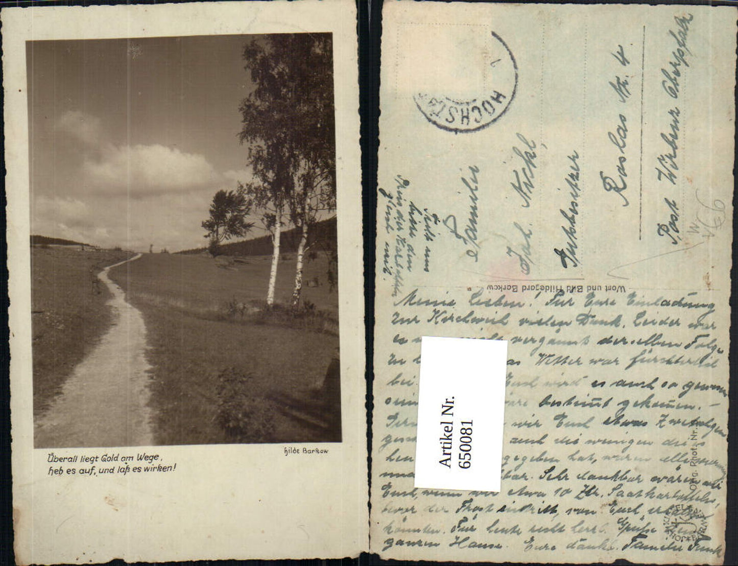 650081,Fotokunst Hilde Barkow Birken Bäume Weg