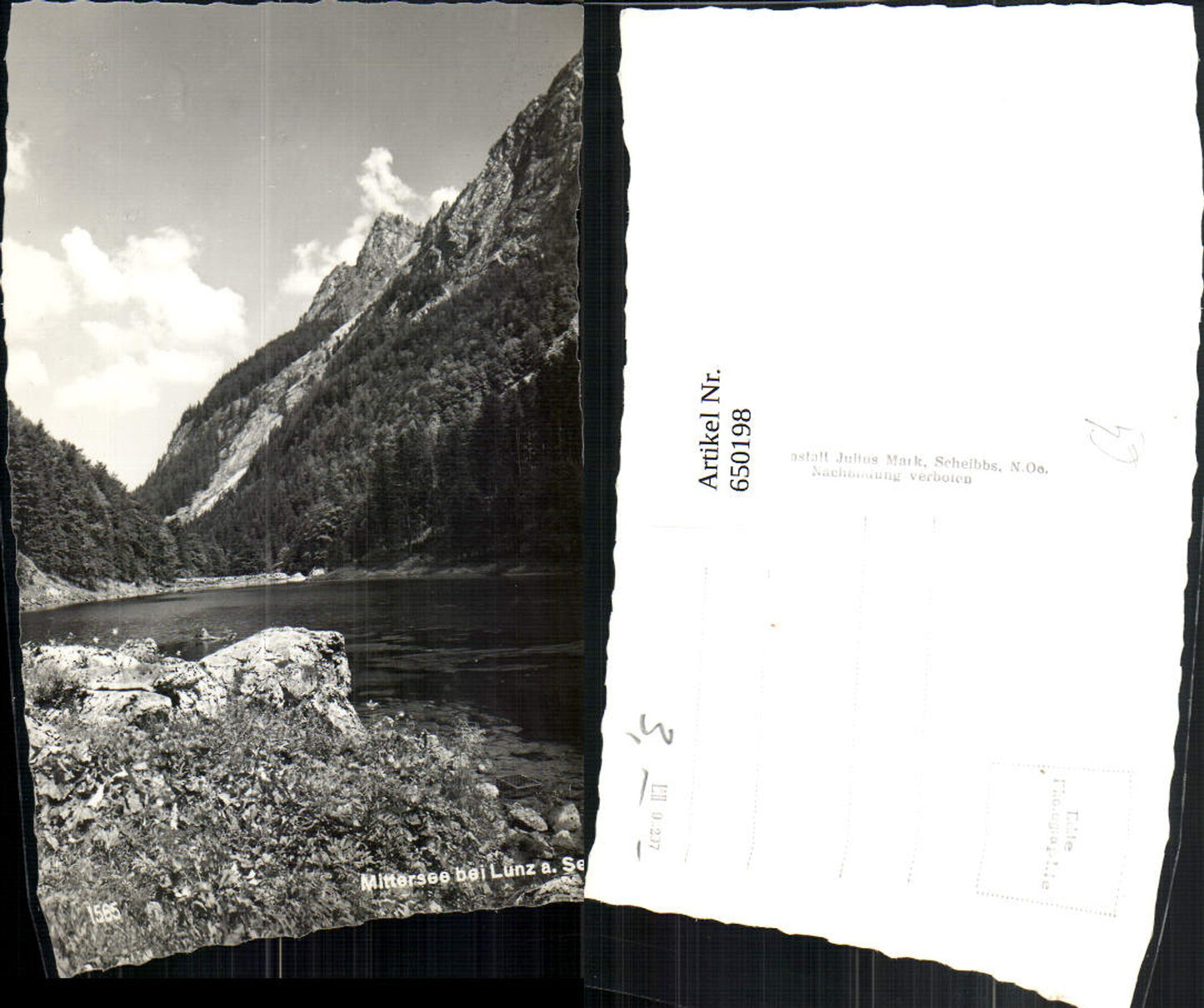 650198,Foto Ak Mittersee b. Lunz a. See