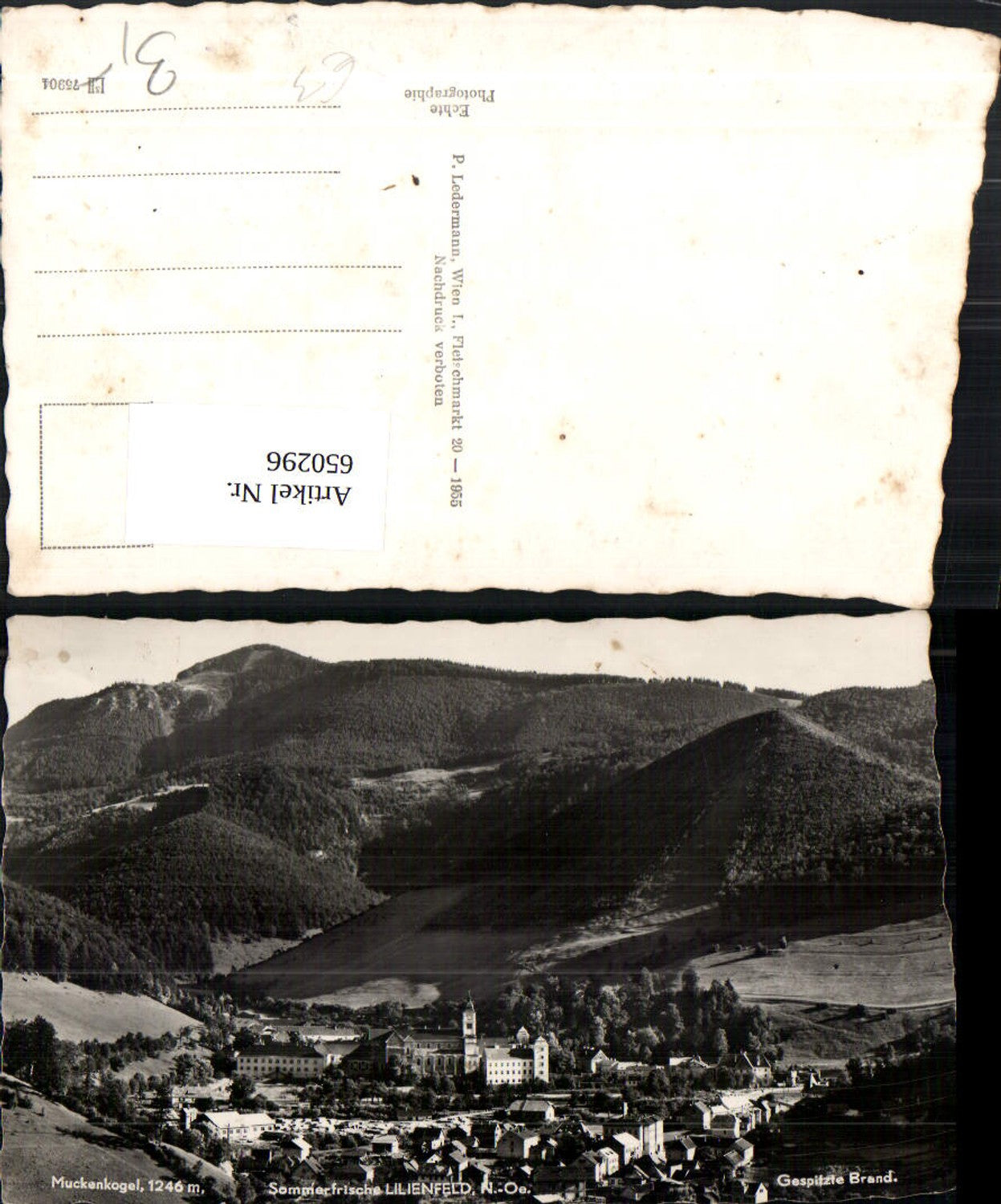 650296,Foto Ak Lilienfeld Muckenkogel Gespitzte Brand