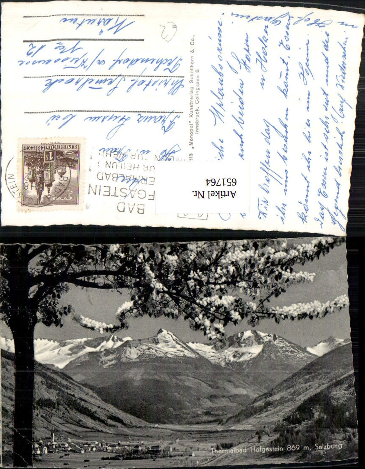 651764, Bad Hofgastein View with blossoming trees in the foreground