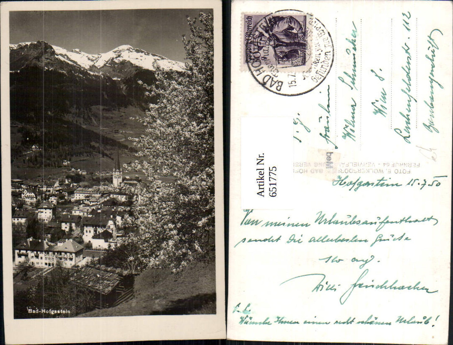 651775, Photo Ak Bad Hofgastein view with tree blossom in the foreground