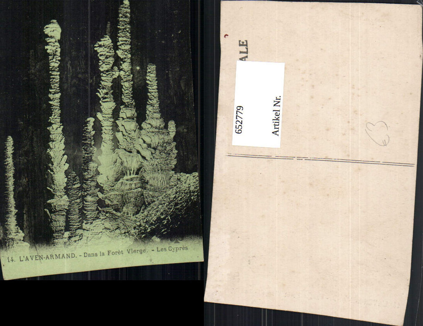 652779,L Aven-Armand Dans le Foret Vierge les Cypres Grotte