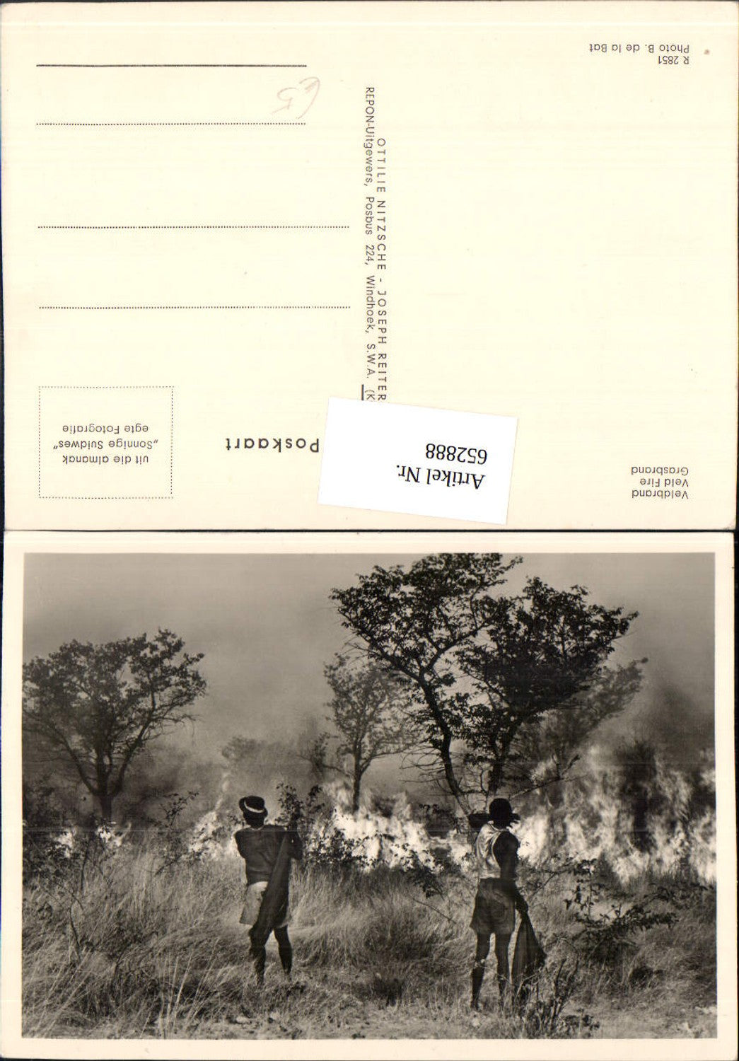 652888,Veldbrand Grass Fire Fire Fire Africa
