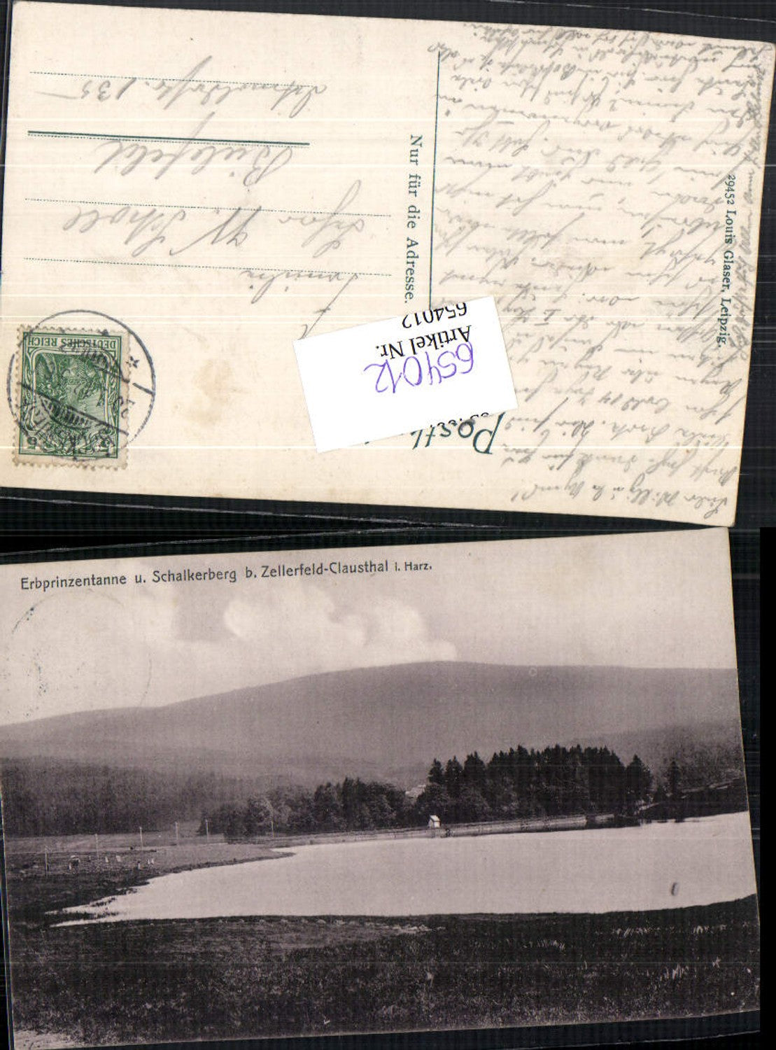 654012,Zellerfeld Clausthal im Harz Erbprinzentanne Schalkerberg
