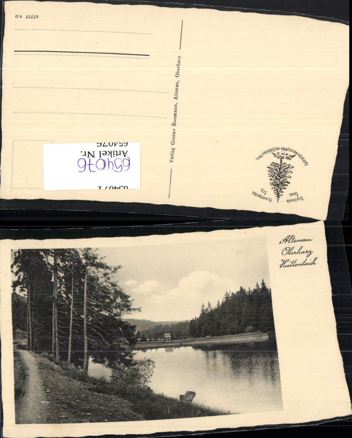 654076,Altenau Oberharz Hüttenteich Clausthal-Zellerfeld