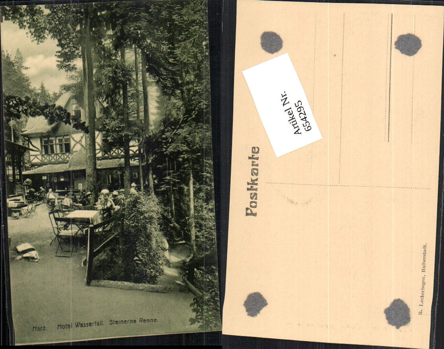 654295,Harz Hasserode Hotel Wasserfall Steinerne Renne