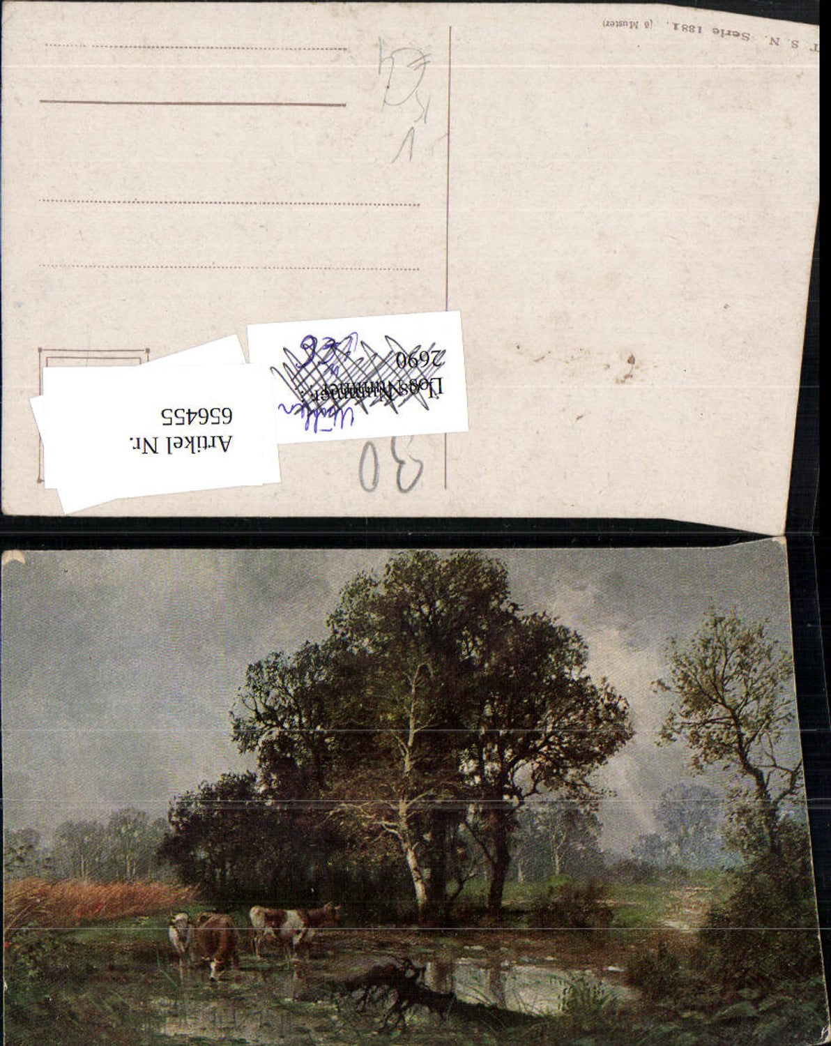 656455,Künstler Ak Stimmungsbild Landschaft Kühe Rinder Birke pub Theo Stroefer 1381