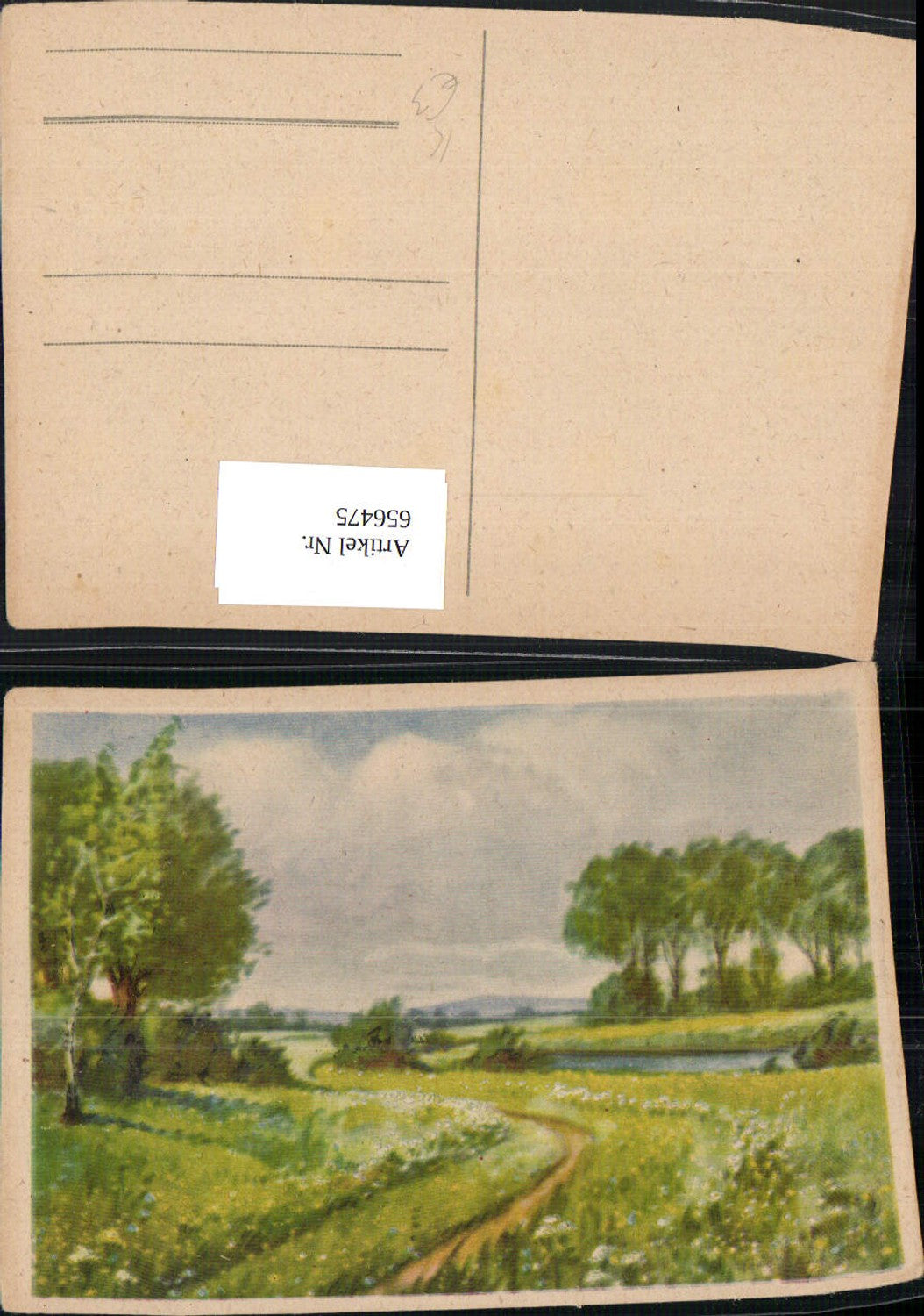 656475,Künstler Ak Stimmungsbild Landschaft Bäume Birken