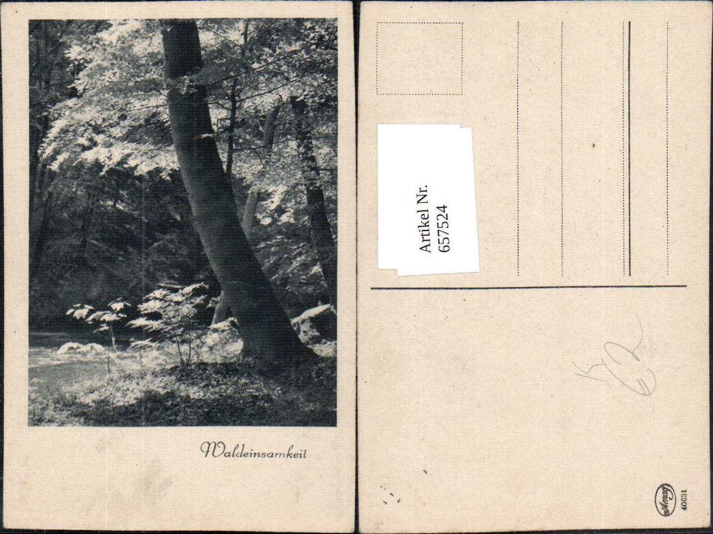 657524,Künstler AK Waldeinsamkeit Stimmungsbild Wald Bäume