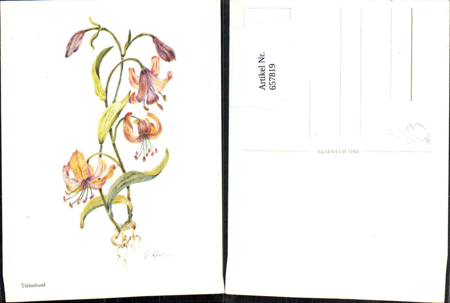 657819,Künstler Ak Türkenbund Blume pub Pro Juventute
