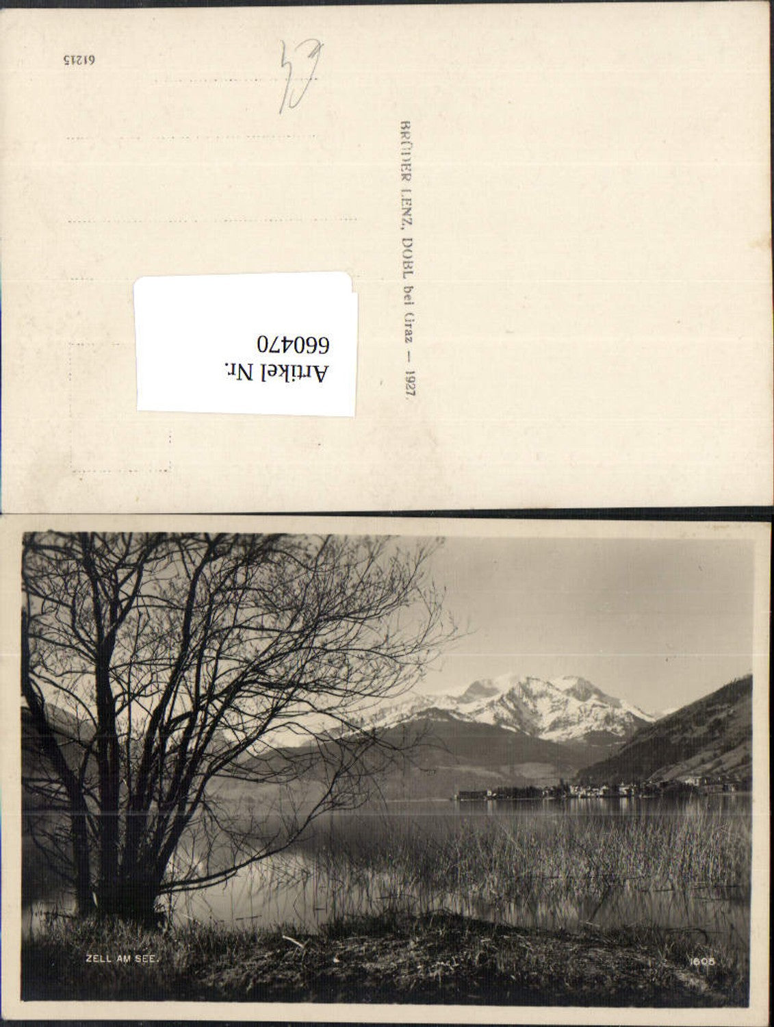 660470,Foto Ak Zell am See Ansicht mit Strauch a. Ufer