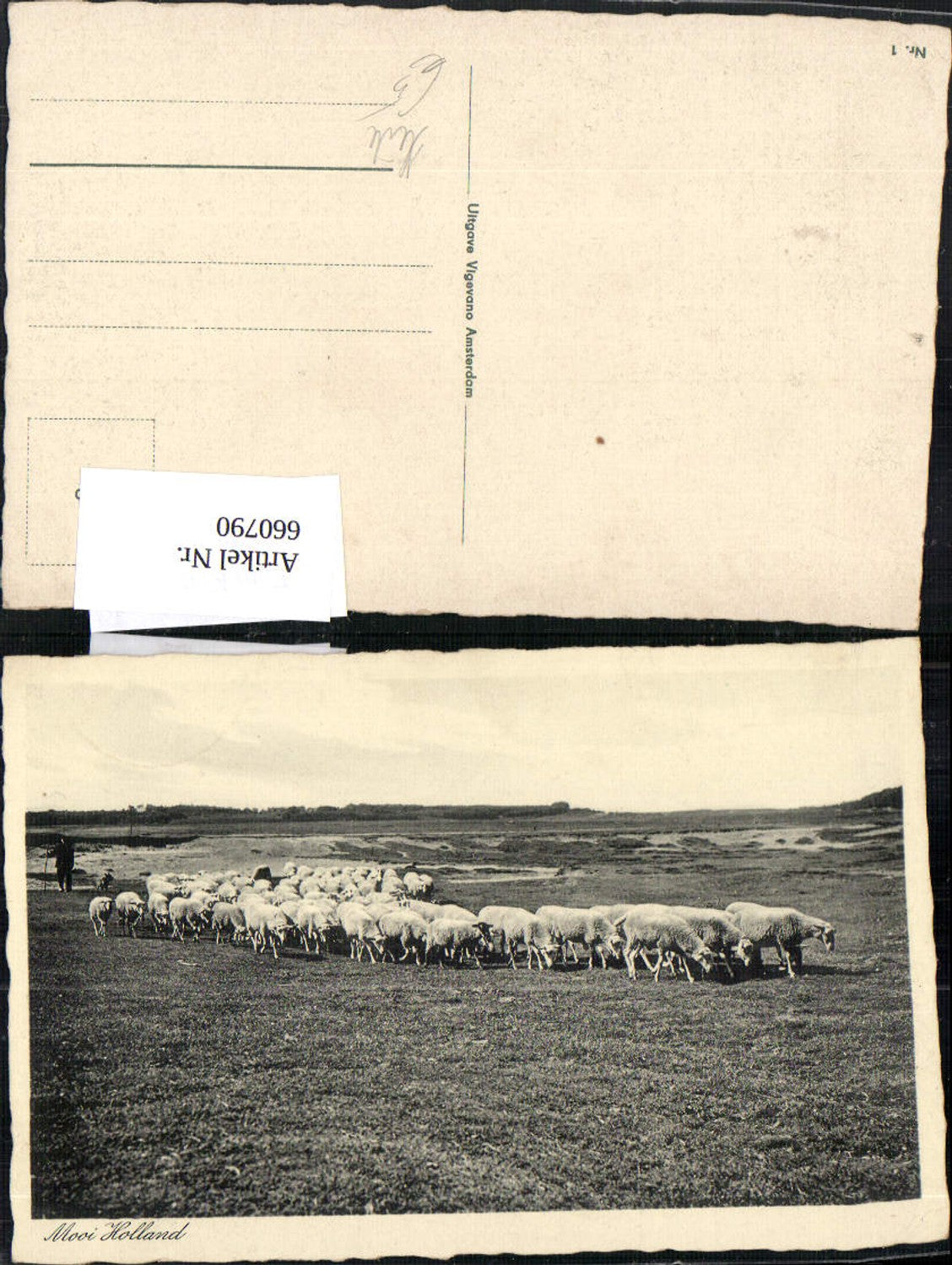 660790,Künstler Ak Mooi Holland Schafe Schafeherde Hirte