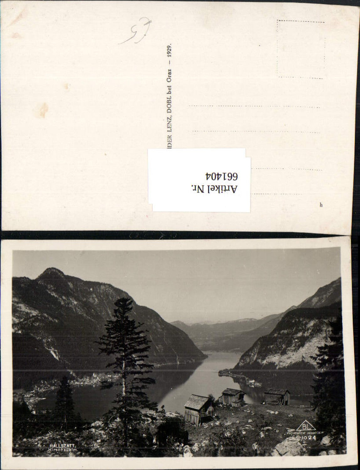 661404,Foto Ak Hallstatt Hirschaualm