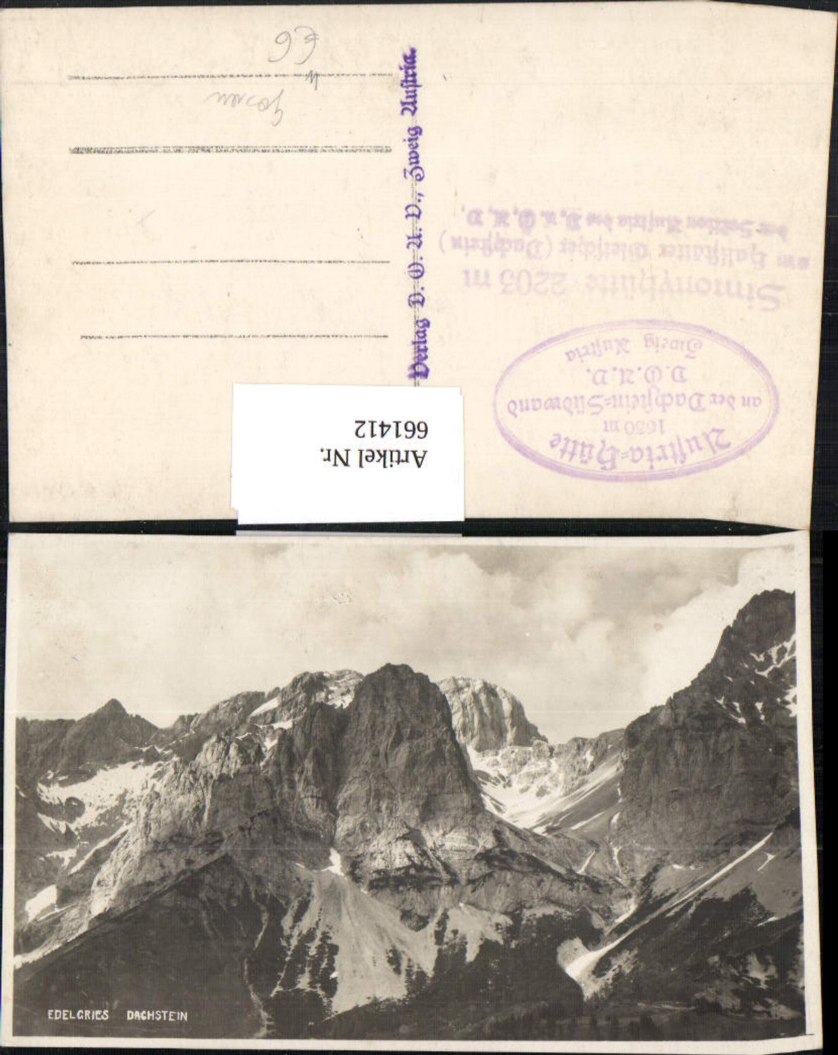 661412,Foto Ak Edelgries Dachstein Obertraun