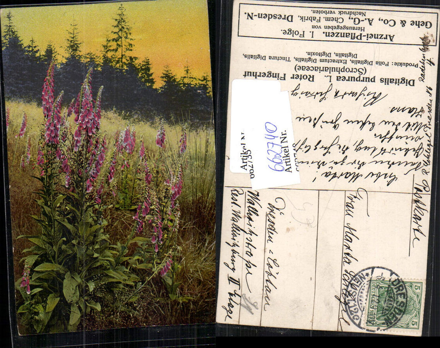 662740,Reklame AK Arznei Pflanzen Gehe & Co. Dresden Neustadt Chem. Fabrik