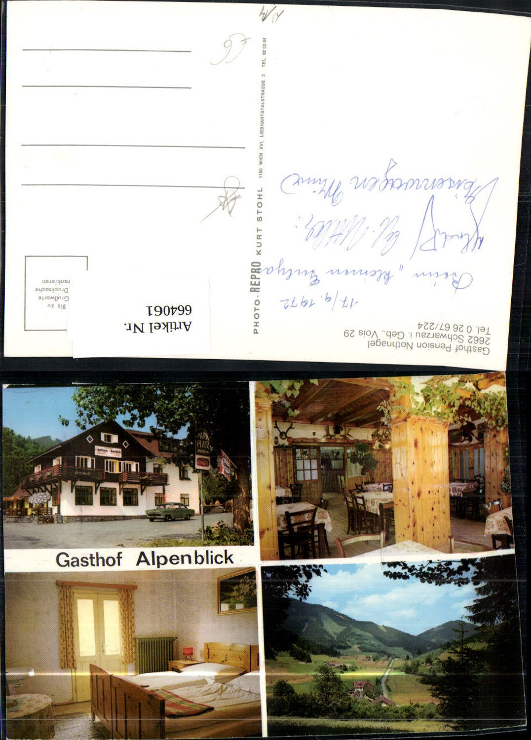 664061,Mehrbild Ak Schwarzau i. Gebirge Gasthof Pension Nothnagel
