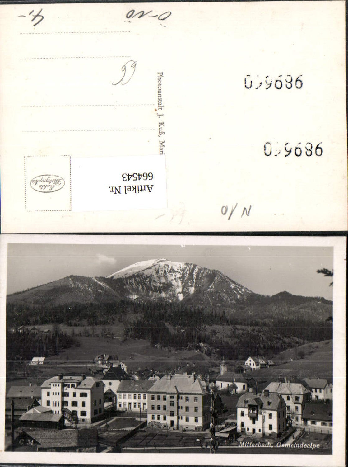 664543,Foto Ak Mitterbach am Erlaufsee Gemeindealpe