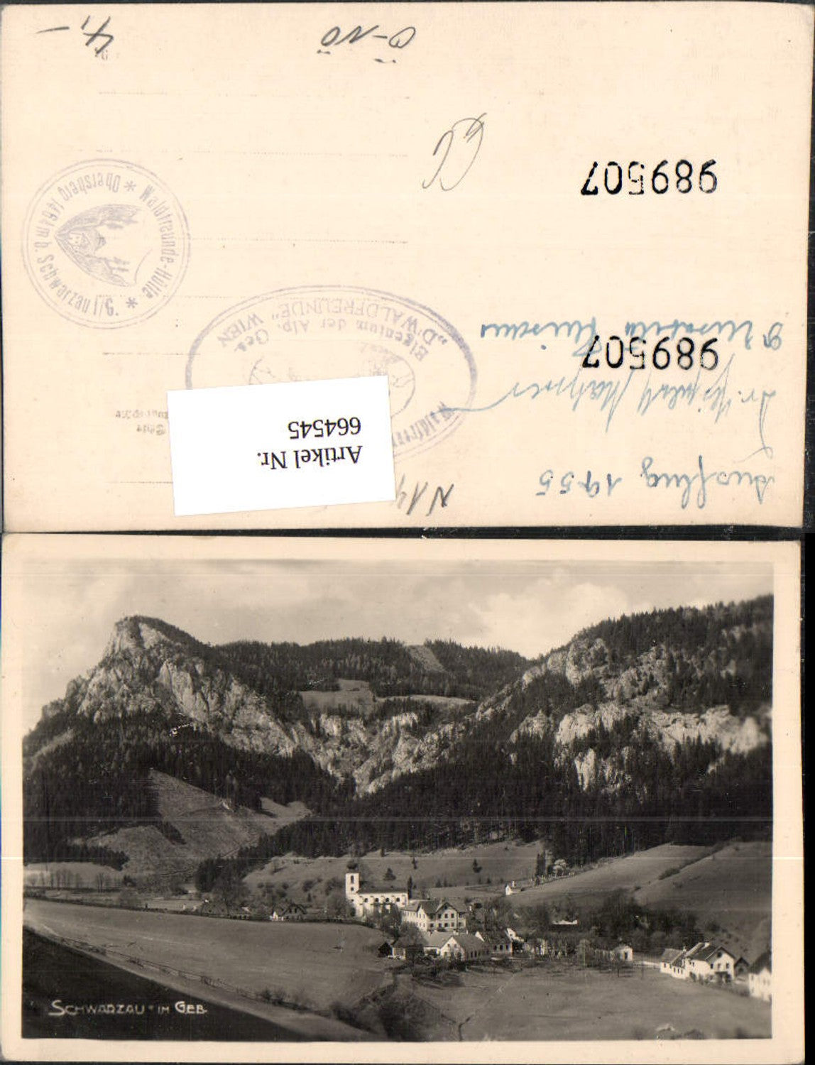 664545, Photo Ak Schwarzau i. Gebirge View