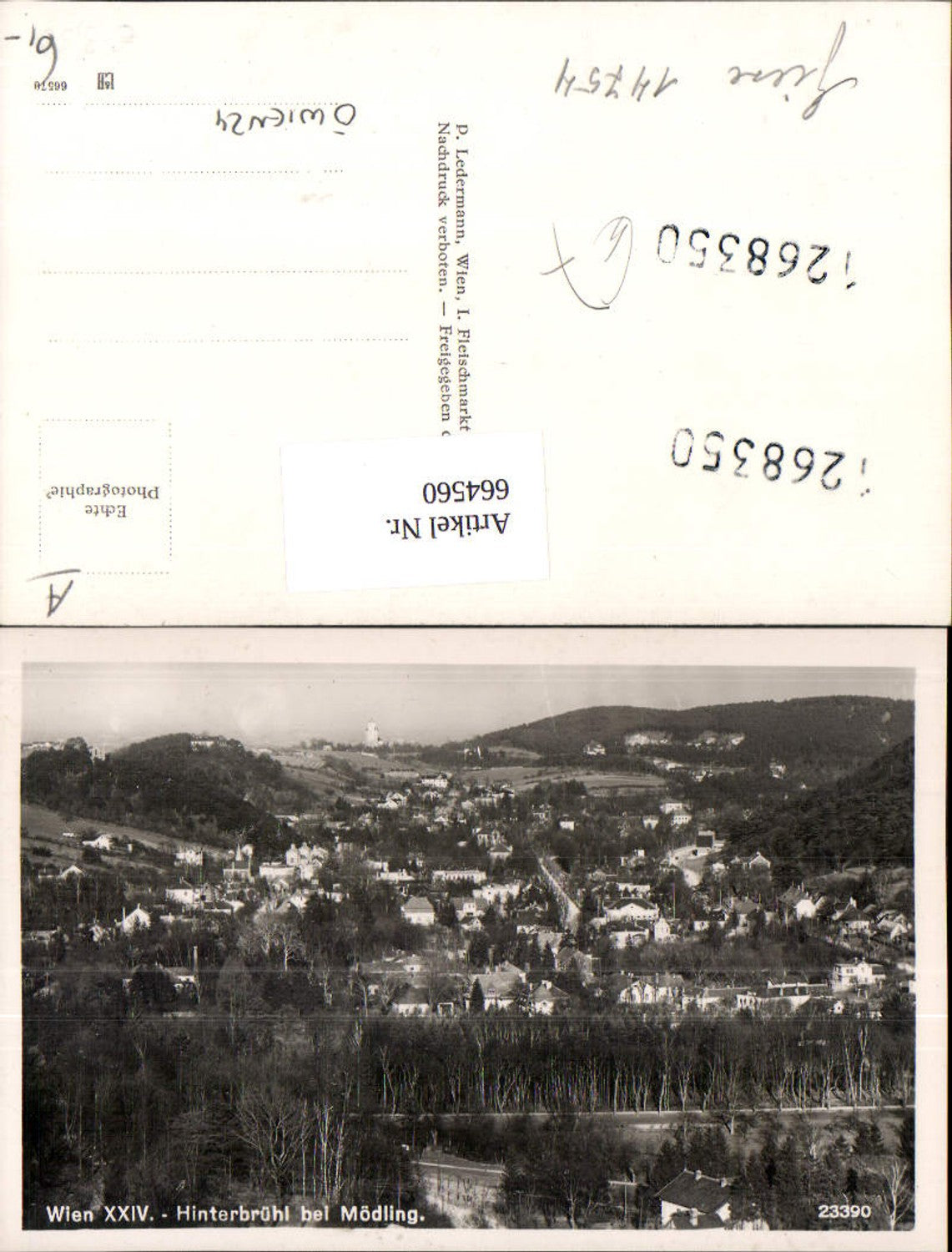 664560,Foto Ak Hinterbrühl Ansicht